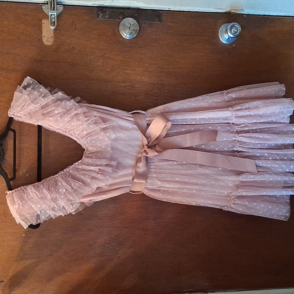 Pink Ruffled Swiss Dot Dress Sz LARGE Deep V neck Mesh  Balletcore Ribbon Sash